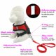 thumbnail image 3 of TOP Suministros Para Mascotas Arnés Collar Transpirable Correa Para Perros Chihuahua Pug Bulldog Tejido De Malla Gato Cómodo Chaleco De Cachorro Multicolor, 3 of 4