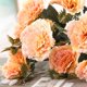 thumbnail image 5 of Ramo de flores de simulación de flor de clavel artificial para decoración del hogar (champán), 5 of 5