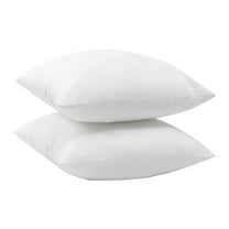WHAMVOX Outdoor Pillow Inserts 2Pcs White Blends for Home 45x0.3937in