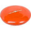 Natural Fitness Balance Disc