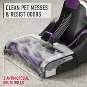 Hoover SmartWash Pet, Complete Automatic Upright Carpet Washer, for Carpet and Upholstery, Eliminates Pet Stains and Odors, Pretreat Wand, FH53010