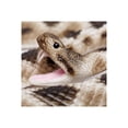 thumbnail image 7 of Safari Ltd. Eastern Diamondback Rattlesnake Figurine - Realistic 40" Model Figure - Educational Toy for Boys, Girls, and Kids Ages 18M+, 7 of 7