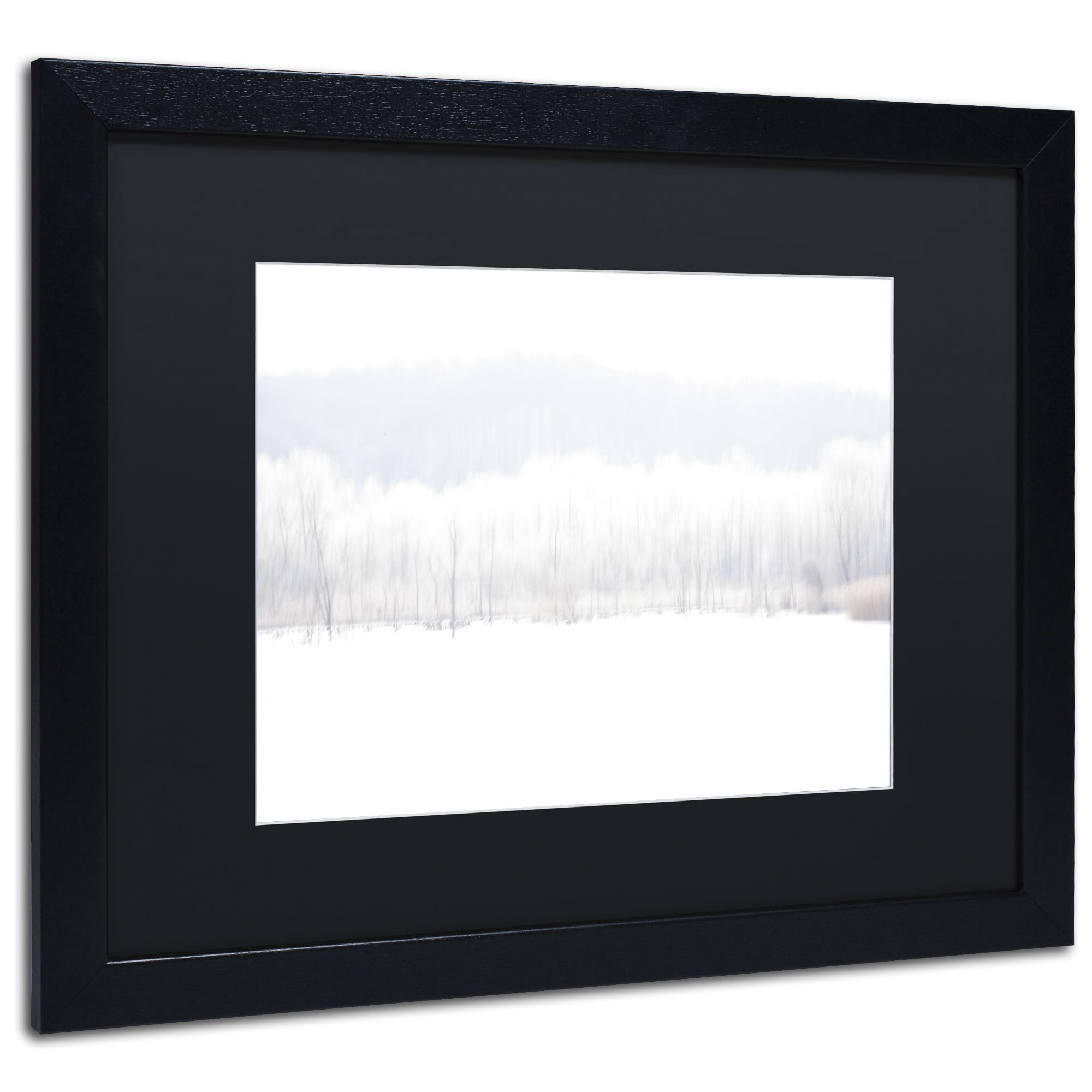 Trademark Fine Art "Abstract Winter Beaver Marsh" Canvas Art by Kurt Shaffer Black Mat, Black Frame