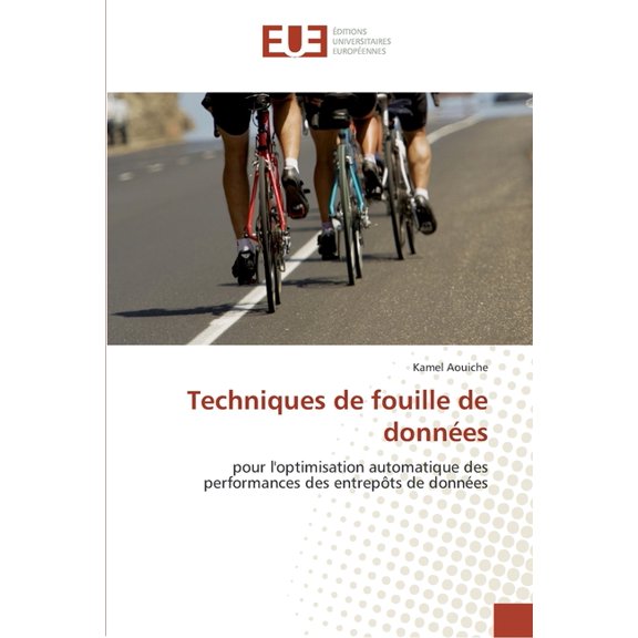 Omn.Univ.Europ.: Techniques de fouille de données (Paperback)