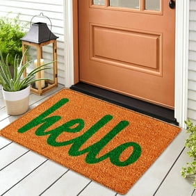 Chrlaon Indoor Outdoor Doormat, Carpet Shoes Scraper Rugs Floor Mats 19" x 31" Polyester Green