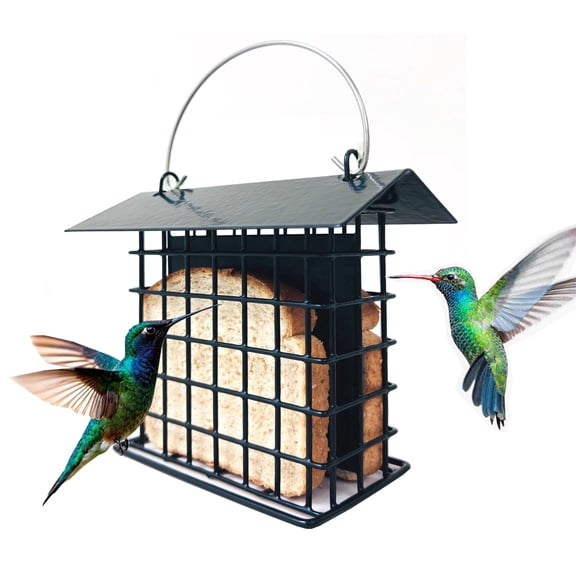 Double Suet Bird All-Metal Feeder Weather-Resistant Solid Roof Top for Outdoors Hanging Suet Cake Cage Squirrel Proof Holder Perch for Outside Garden Yard