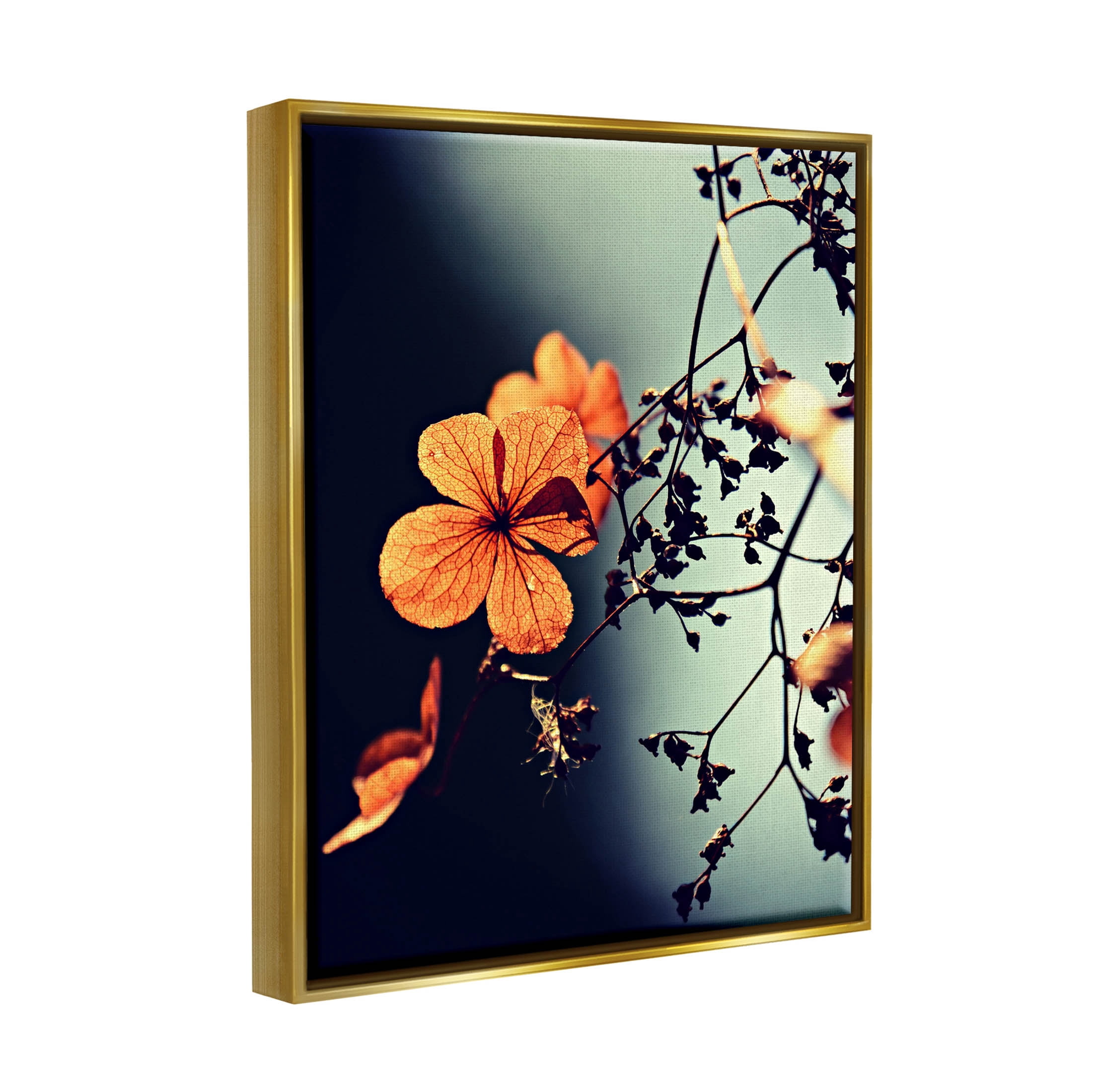 Stupell Industries Sunlit Detailed Floral Petals Photograph Metallic Gold Floating Framed Canvas Print Wall Art, Design by Lil' Rue