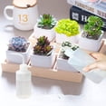 thumbnail image 6 of Wash Bottle 2pcs 250ml/8oz Safety Bottles Watering Tools, Economy Plastic Squeeze with Narrow Mouth Scale Labels for Medical Succulent Cleaning Washing, 6 of 7