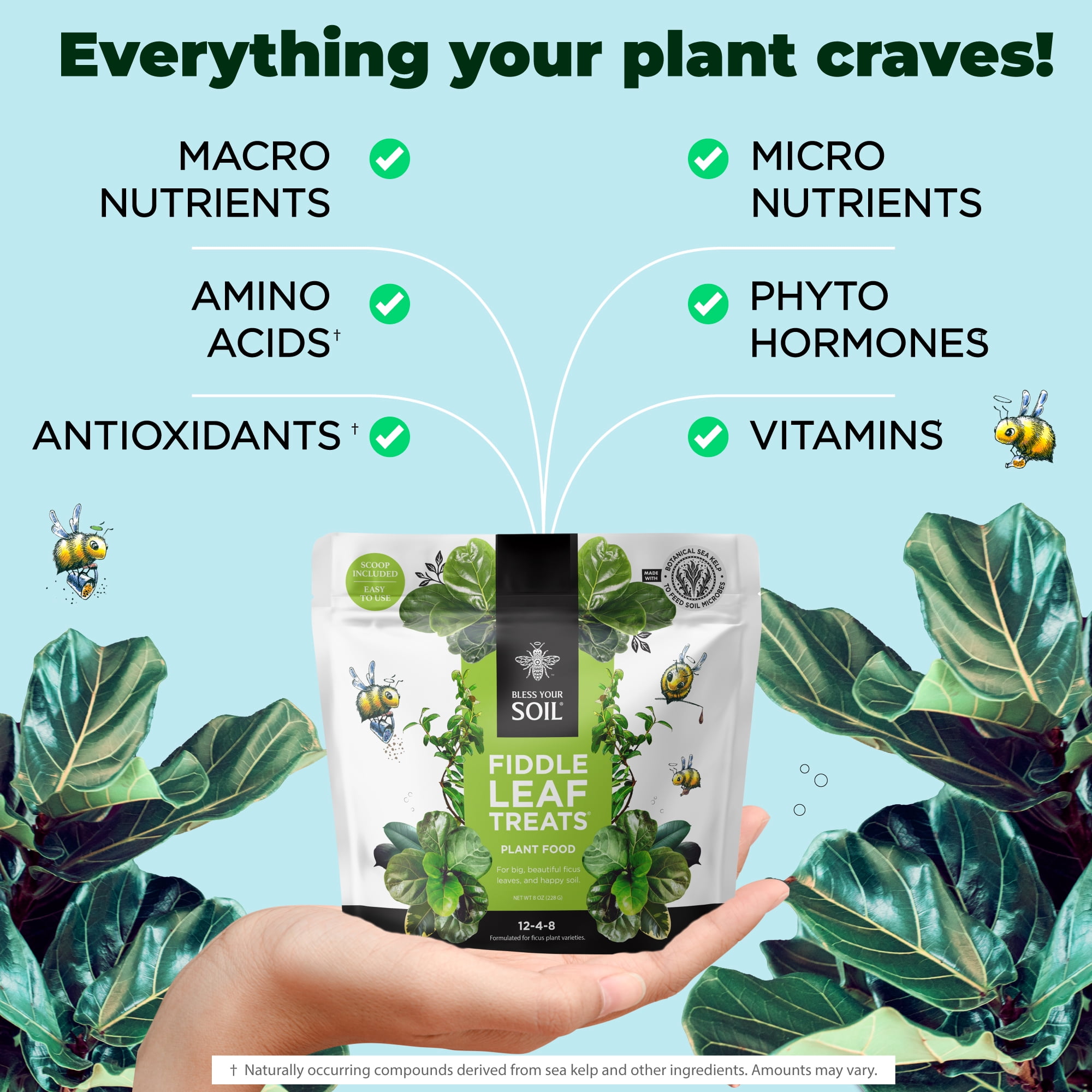 Bless Your Soil, Fiddle Leaf Fig Tree Plant Food, 8oz, Water Soluble -  Walmart.com