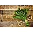 thumbnail image 2 of Dill, Dwarf Fernleaf - Herb Seeds, 2 of 4