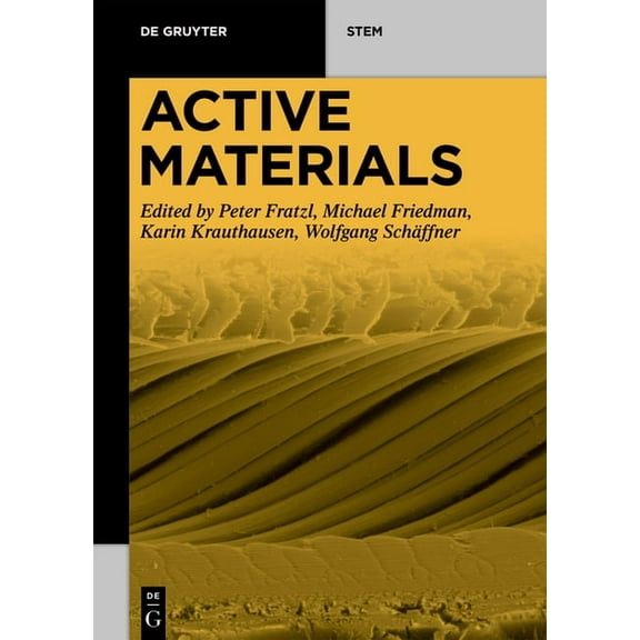 de Gruyter Stem Active Materials, (Paperback)