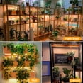 thumbnail image 7 of Rosnek Full Spectrum LED Grow Lights for Indoor Plants, 6 Dimmable Levels with Timer, USB Under Cabinet Plant Lights for Indoor Growing, Seedlings, Veg, Flowers, 7 of 7
