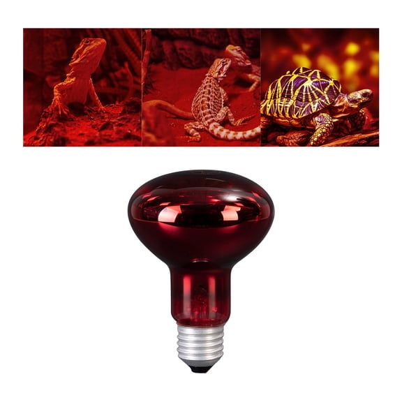 Lámpara de calentamiento de reptiles de vidrio 100W Calentador de fuente Calentador E27 Base Habitat Pet Calor Bombilla de luces para Vivarium, Yinane Lámpara de calentamiento de reptiles