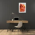 thumbnail image 3 of Majority World CIC 11x14 White Modern Wood Framed Museum Art Print Titled - Crayfish close-up, 3 of 4