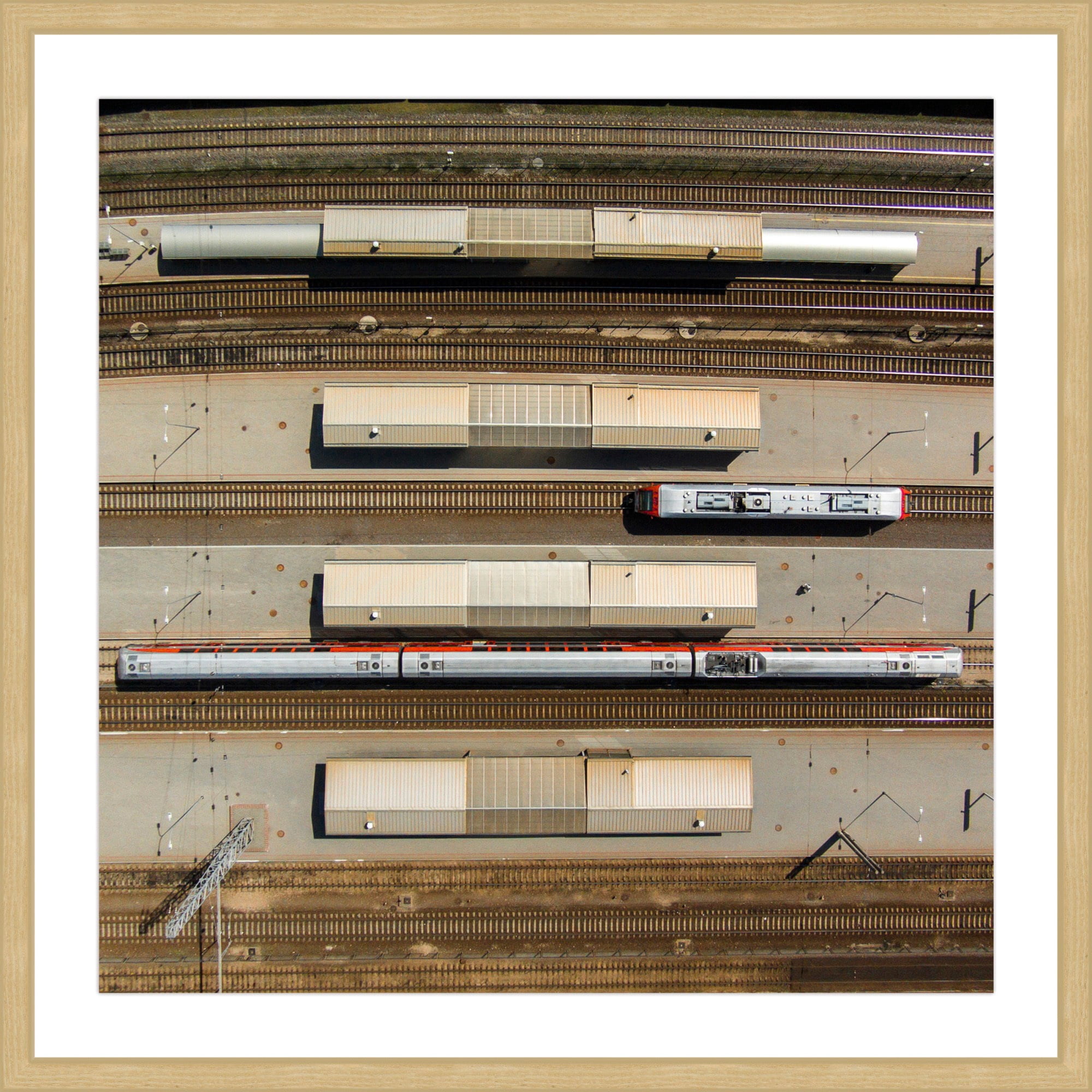 Marmont Hill "Trains" by Karolis Janulis Framed Painting Print