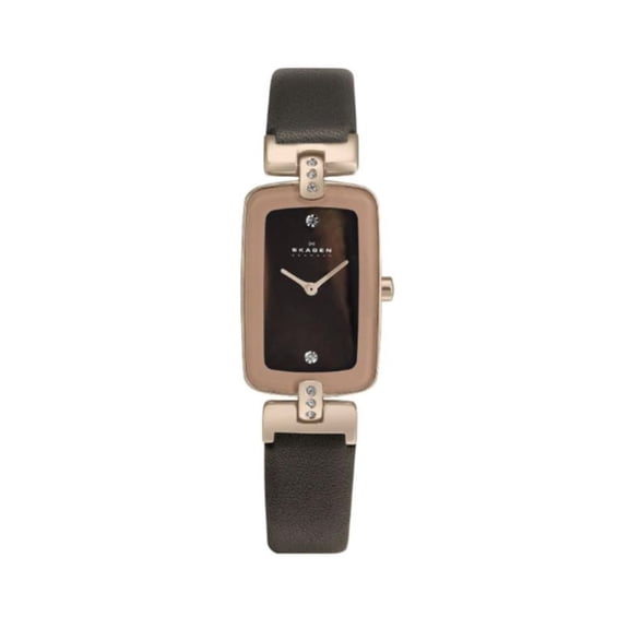 Skagen Classic Women's Brown Dial Quartz Watch H01SRLD