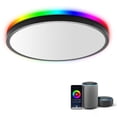 thumbnail image 1 of Lámpara de techo TALOYA Smart LED WiFi 24 W regulable 30 cm negra, 1 of 8