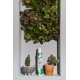thumbnail image 5 of Espuma Limpiadora Sin Agua Batiste con Agua de Cactus 105 ml, 5 of 8