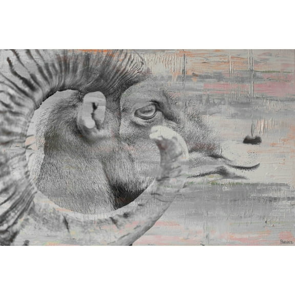 "Eye of Ram" Painting Print on Wrapped Canvas