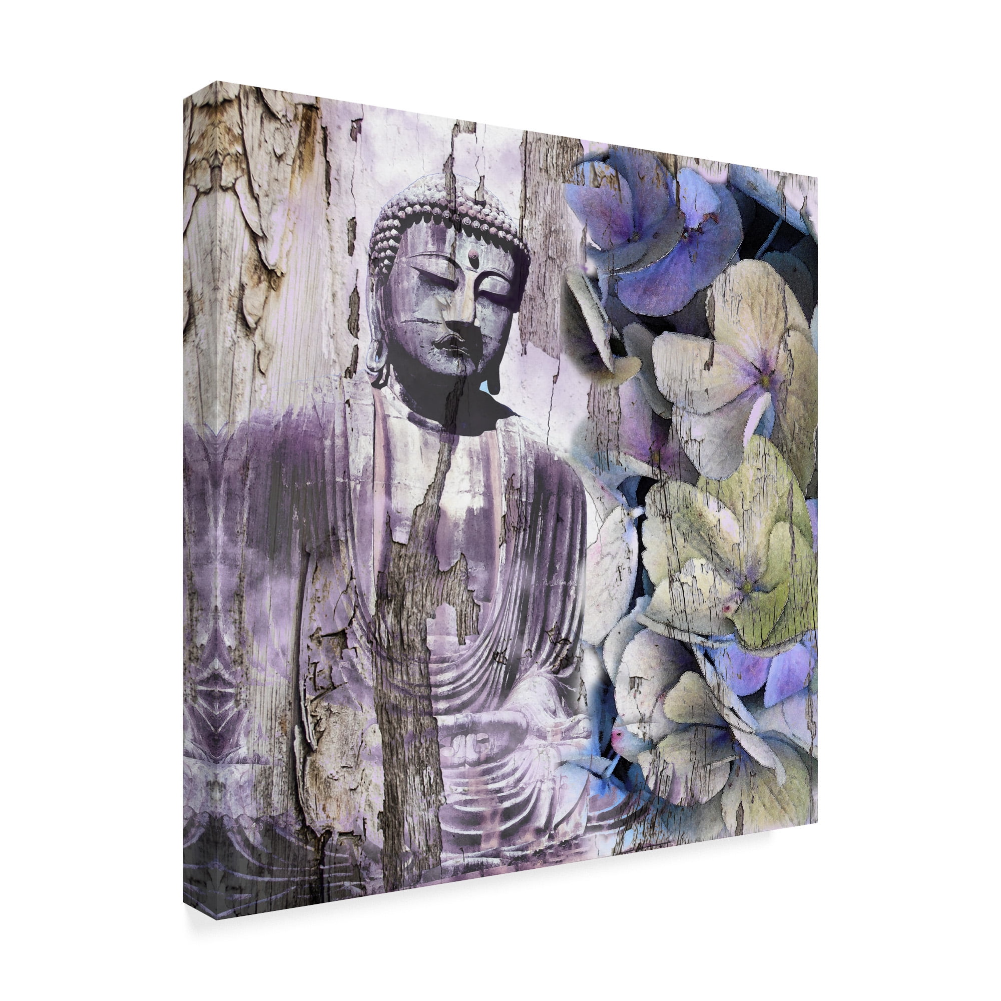 Trademark Fine Art 'Timeless Buddha III' Canvas Art by Surma & Guillen