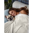 thumbnail image 3 of Cream Greek Key Full Size Flat Sheet, Wrinkleproof & Fadeproof Cooling Flat Bed Sheet Only, Geometric Greece Ancient Farmhouse Geo Breathable Soft Bedding Top Sheets 81 x 96 Inches, 3 of 8