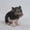 Black, variant on Hi-Line Gift Ltd Dark Brown Sitting Baby Pig, 6"