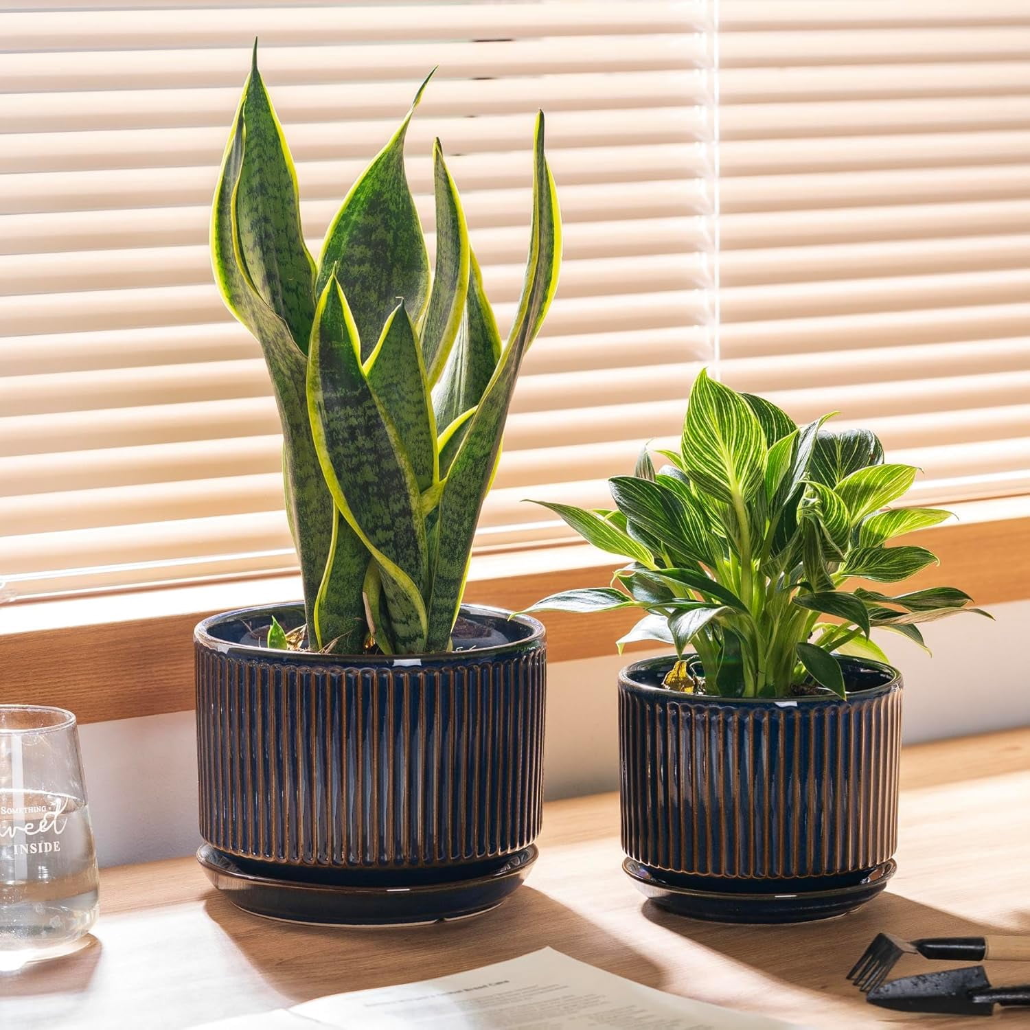 Speckle Gray Ceramic Plant Pot Set of 3 with Saucers, 4.3-6.7 Inch Indoor Flower Pots with Drainage Holes and Pads, Decorative Striped Planter Set for House Plants and Gardening
