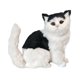 thumbnail image 3 of Figura de gato realista figura de gato foto de juguete, lindo animal relleno de réplica de mascotas para el hogar, coche, sala de estar Estilo C, 3 of 8