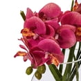 thumbnail image 3 of Vickerman 9.8" Artificial Pink Butterfly Orchid In Glass Pot., 3 of 5
