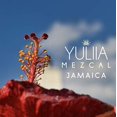 thumbnail image 4 of Licor a base de Mezcal Yuliia sabor Jamaica 750 ml, 4 of 6