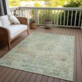 thumbnail image 6 of Addison Rugs Chantille Indoor/Outdoor Traditional Global Sage Washable Rectangle Rug, 8' x 10', 6 of 6