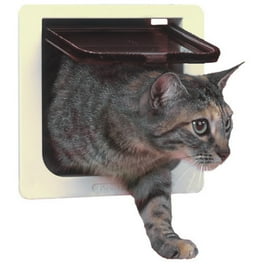 Trixie Pet Products Trixie Extra Large Tunnel Extender For 4 Way Cat Door With Tunnel White Walmart Com