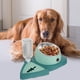 thumbnail image 3 of Comedero automático para perros con alimentación lenta y bebedero automático, 3 of 8