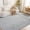 Grey, variant on Washable Beige Indoor Area Rug, 3D Bubble Texture Carpet for Living Room Bedroom, 4' x 6'