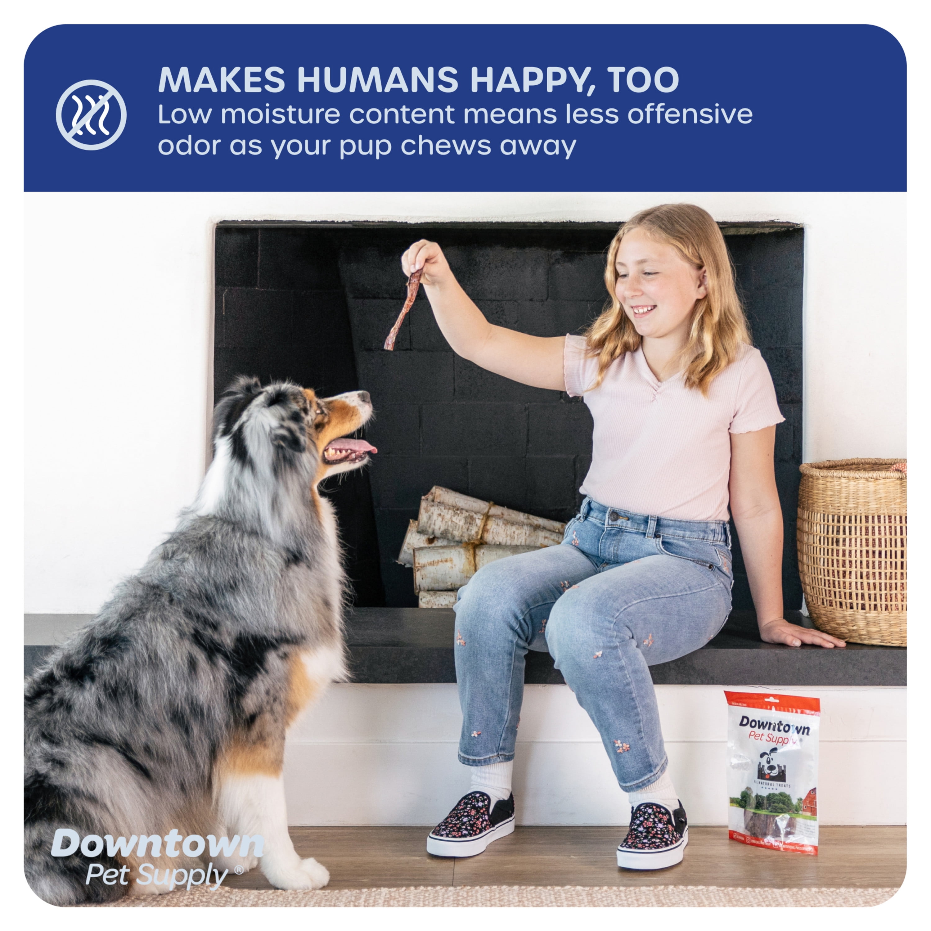 Downtown Pet Supply Bully Sticks For Dogs Rawhide Free Dog Chews 48 Pack