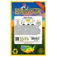 thumbnail image 2 of Everwilde Farms - 1000 Dames Rocket Garden Flower Seeds - Gold Vault Jumbo Bulk Seed Packet, 2 of 5