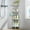 White, variant on Standing Corner Shower Caddy - 4 Tier Shower Organizer Corner with Soap Holder and 4 Hooks, Rustproof Bathroom Storage Shelves with Adhesives, Black