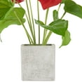 thumbnail image 3 of Northlight Anthurium Spring Floral Artificial Plant in a Square Pot - 12" - Red, 3 of 5