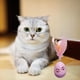 thumbnail image 4 of Vaso de plumas de gato Colco Juguetes de gato tumbler Rosa Rosado, 4 of 7