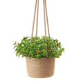 thumbnail image 5 of 2x cestas de macetero de cuerda colgante con cuerda colgante larga, soporte de planta tejido a mano flor decorativa P, 5 of 5