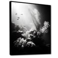 thumbnail image 2 of Designart "Monochrome Subaquatic Tranquility II" Coastal Coral Under Water Floater Framed Canvas Prints, 2 of 5