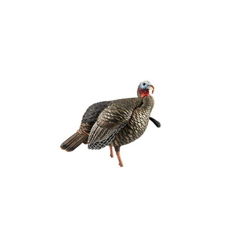 Avian-X HDR Jake Turkey Decoy | Rugged Durable Realistic Lifelike Quarter-Strut Body Standing Hunting Decoy with 2 Removable Heads, Mounting Stake & Carry Bag