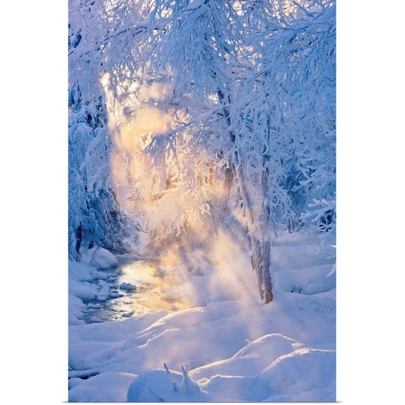 Great BIG Canvas | "Small stream in a hoarfrost covered forest with rays of sun filtering through the fog" Art Print - 20x30