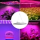 thumbnail image 3 of Luz LED de cultivo para plantas de interior de 45W, lámpara de cultivo de plantas de espectro completo, enchufe AC85-265V de EE. UU., 3 of 8