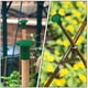thumbnail image 1 of unbranded 50Ud Protectores Para Cañas De Bambú De Jardín Color Con Flexible, 1 of 8