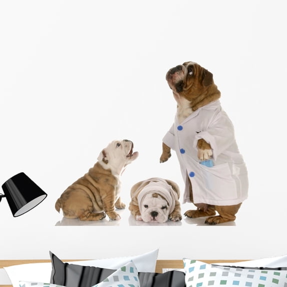Veterinary Care Wall Mural by Wallmonkeys Peel and Stick Graphic (36 in W x 31 in H) WM10167