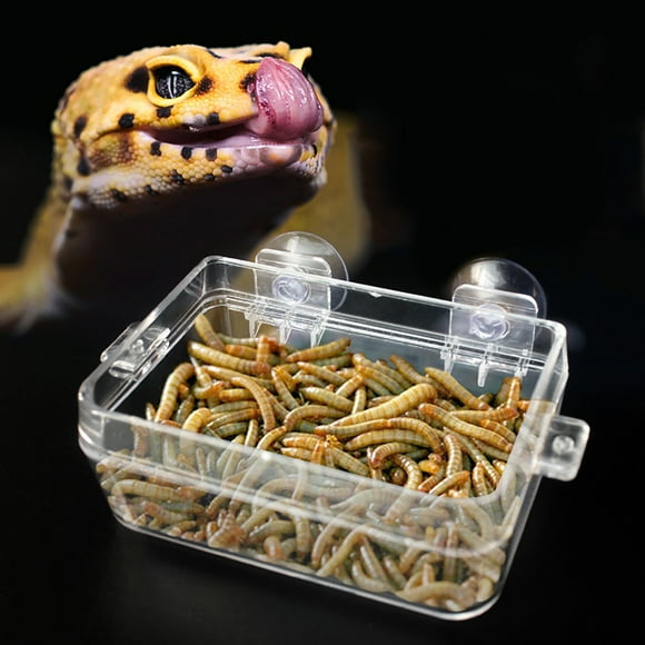 Reptile Anti-escape Feeder, Lizard Crawler Food Bowl Reptile Food Water Bowl, Anti-Escape Dish Basin ABS For Newt Turtles Frogs Other Pets