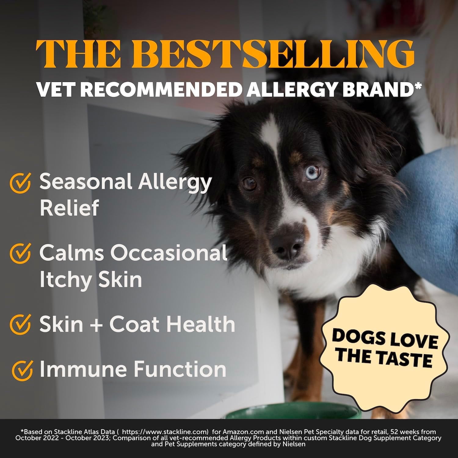 Pet Honesty Allergy Relief Salmon Oil for Seasonal Itch Relief for Dogs, Omega-3 for Dogs, Dog Skin and Coat Supplement, May Reduce Shedding & Itching, Joint, Brain & Heart Health (16 oz)