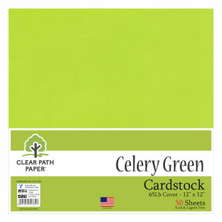 Fern Green Cardstock - 12 x 12 inch - 100Lb Cover - 50 Sheets - Clear Path  Paper