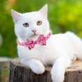 thumbnail image 5 of Collier pour Chat avec nœud Papillon et Clochette Motif Floral Rose, 5 of 5